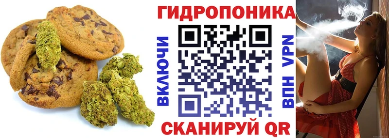 купить сайты KRAKEN ссылка Canna-Cookies марихуана Купино