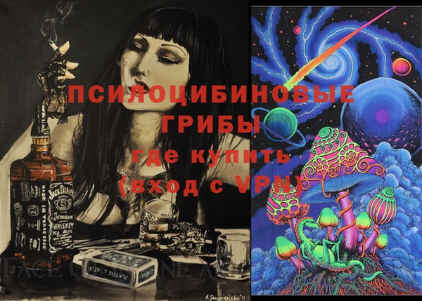 прущие крисы Новодвинск