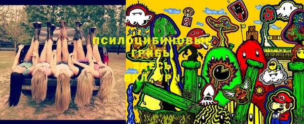 эйфоретик Богородск