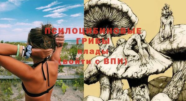 кокаин Богданович
