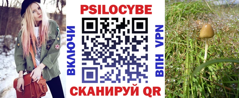 где купить наркоту  Купино  Галлюциногенные грибы мицелий 